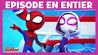 Spidey et ses amis extraordinaires  Moment Magique  Une situation bien collante [upl. by Sophia898]