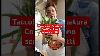 Taccole con Panatura Così Piacciono sempre a tutti shorts taccole [upl. by Wennerholn]