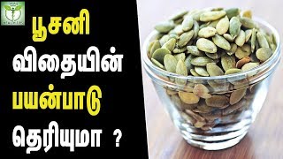 pumpkin seeds health benefits  Tamil Health Tips [upl. by Mahgirb]