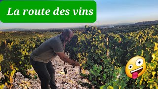 117 La route des vins campingcar vanlife nomade [upl. by Adnicaj677]