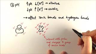 AS Biology  Factors affecting enzyme activity OCR A Chapter 42 [upl. by Nylekcaj]