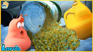 LARVA Season 3 Episode 50  100  New Cartoons 2024  Hilarious Cartoon Compilation [upl. by Ahsikram588]