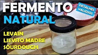 COMO FAZER FERMENTO NATURAL  LEVAIN  PARA PIZZAS E PÃES [upl. by Artenak]