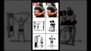 arms workouts 💪🏋️motivation 🔥🤟ytshorts 😃💯 [upl. by Northington]