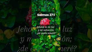 Jehová es mi luz y mi salvación 🙌 Salmos 27 shorts cristianos [upl. by Wadesworth395]