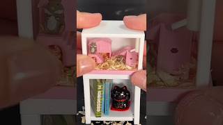 making a mini hamster cage 🐹 miniatures hamsters 3dprinting [upl. by Kepner]