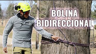 Utilizando el nudo Bolina Bidireccional para trepa de arbol [upl. by Bamby]