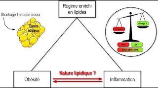 Conférence “Anorexie Obésité ou comment le cerveau contrôletil notre appétit ” [upl. by Roinuj]