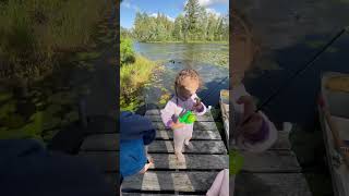 Fishing fishing minnesota fishinglife fisherman fishingtiktoks fishcontent fish mn [upl. by Finn]