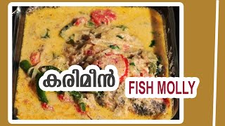 KARIMEEN FISH MOLY  COOKING RECIPE  DOCTORS KITCHEN MALAYALAM [upl. by Otanod]