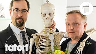 Trailer quotFeierstundequot  Der neue Tatort aus Münster  Tatort [upl. by Pfosi]