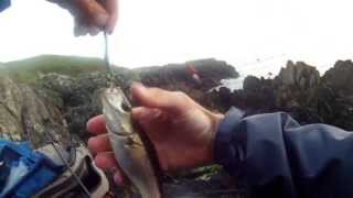 Bass fishing North wales [upl. by Morez324]