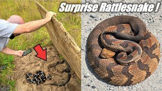 Insane Virginia Snake Hunting  Flipping for King Snakes RARE Rattlesnake and Copperhead [upl. by Drofyar871]