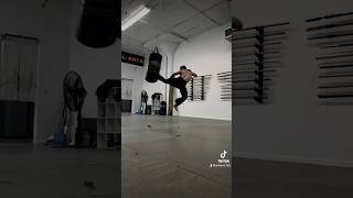 Kobudo Keri Kata Keiko Heavy bag training [upl. by Yhtak299]