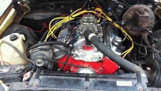 1972 nova 355 edelbrock proformer rpm cam [upl. by Ahsieyn774]