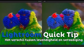 Het verschil tussen VERZADIGING en LEVENDIGHEID  Adobe Lightroom Tip  Zoomnl Fotografie Tips [upl. by Aikaz670]