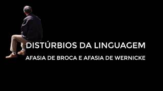 NEUROPSICOLOGIA CLÍNICA  DISTÚRBIOS DA LINGUAGEM  AFASIA DE BROCA E DE WERNICKE  DEMONSTRAÇÃO [upl. by Ayyidas785]