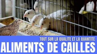 quotAlimentation des Cailles  Maximisez la Santé et la Productivité de votre Élevage quot cailles [upl. by Enaamuj445]