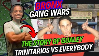 Bronx Gang War  quotGualeyquot amp The Trinitarios vs EVERYBODY DDP amp Bloods [upl. by Darej]