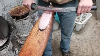 Fur Handling  Beaver Tail Skinning and Fleshing [upl. by Yleve]