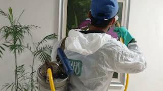 Pest Control and Fumigation in Islamabad Pakistan Дезинфекция помещений Исламабад Пакистан [upl. by Koah]