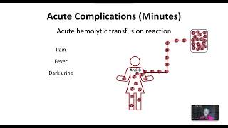 Transfusion Complications [upl. by Castra]