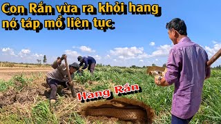 SĂN BẮT RẮN Quay lại sau 4 năm một địa điểm Săn Bắt  TGSB 839 [upl. by Arihsaj]