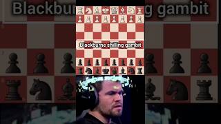 Blackburne shilling Gambit 😈 viewsviral chessstrategy chesstraps [upl. by Milty228]