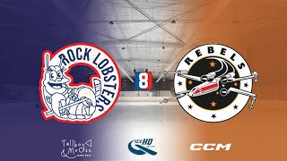 Rock Lobsters v Rebels  Div 8  10th November  iceHQ Rec League ice hockey [upl. by Ainotahs]