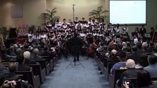 True Jesus Church WDC 2013 Opening Ceremony  The Battle Hymn of the Republic [upl. by Nanfa]