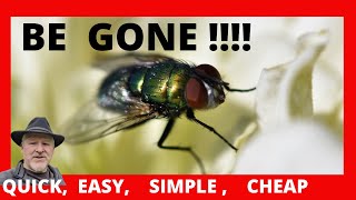 Blow Flies In House Get rid of Blowflies EASYSIMPLEQUICKCHEAP [upl. by Amitaf]