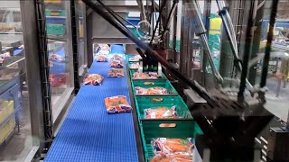 Brillopaks fully automated pick and pack machine with OMRON technology [upl. by Jovia290]