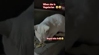 When she is vegetarian 🤣😂😂 then bagad billa🤣😂 funnyvideo comedy epiclaughs [upl. by Idissac]