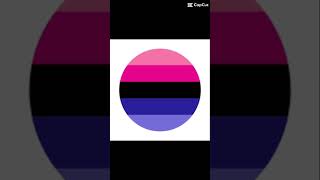 Omnisexual pride omnisexual pride [upl. by Hackney]