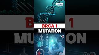 What is a BRCA Gene Mutation 🤔 ndascience sciencebyswatimam [upl. by Atalya]