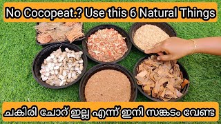 6 Best No Cost Alternate for Cocopeat  ചകിരി ചോറിന് പകരക്കാരനായി ഇതിൽ ഒന്നു മതി [upl. by Ettener]