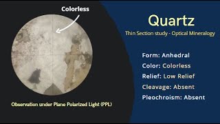 Quartz in Thin Section under Microscope  Optical Mineralogy PPL Cleavage Pleochroism twinning [upl. by Cilegna]