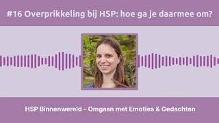 16 Overprikkeling bij HSP hoe ga je daarmee om [upl. by Analat]