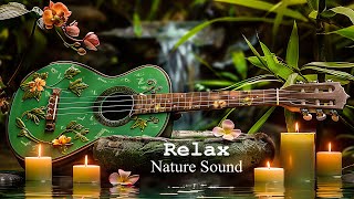 Relaxing Piano Music  Insomnia and Healing 🌿 Relaxing Music Sleep Music Meditation Nature Sound [upl. by Eromle396]