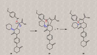 Apixaban anticoagulante mecanismos de formación del heterobiciclo de pirazolovalerolactama [upl. by Lain]