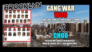 Brooklyn Gang War  Woo Vs Choos New Indictment  32 Arrested In Brownsville  Bloods Crips amp Folk [upl. by Corrina]