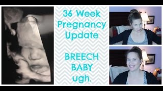 36 Week Update  BREECH BABY 3 [upl. by Eneryc]