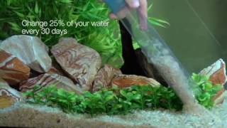 Tetra® – Basic Maintenance Tips For Aquariums [upl. by Agna]