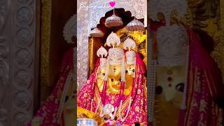 Maiya Teri Jai Jaikar 🙏 Jai Maa Bagalamukhi 🔱🙏 shortvideo youtubeshorts maiyaterijaijaikaar maa [upl. by Erasme]