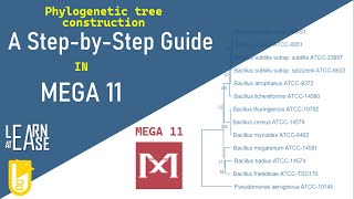 How to Construct a Phylogenetic Tree in MEGA 11 A StepbyStep Guide [upl. by Harikahs673]