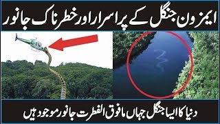 Animals of Amazon Jungle  Amazon Rainforest Documentary in Urdu Hindi [upl. by Nav]