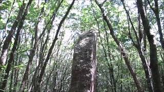 Menhir du Berger de la Madeleine [upl. by Hartill]