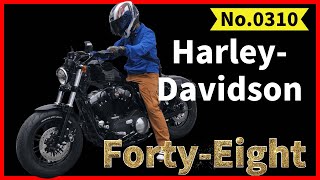 HarleyDavidsonFortyEightBampBタンデムRidersNo0310 [upl. by Ellesig]