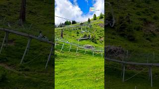 Longest Toboggan In Switzerland 🇨🇭 follow for more daily shorts 🇨🇭 [upl. by Ayotan]