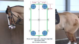 hchw instr video 22 het goede been en hoeken rijden [upl. by Cud]